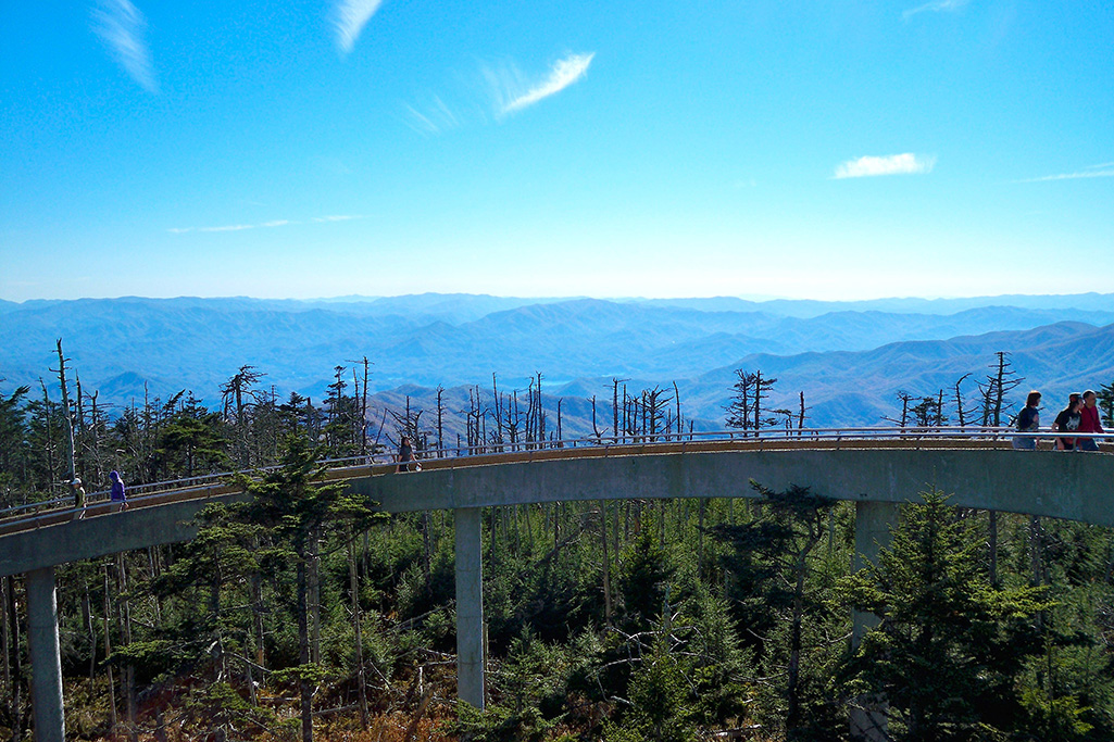 clingmans dome