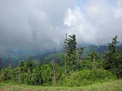 clingmans dome